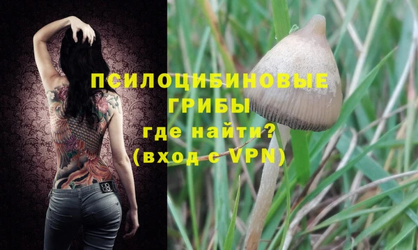 твердый Корсаков