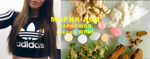 твердый Корсаков