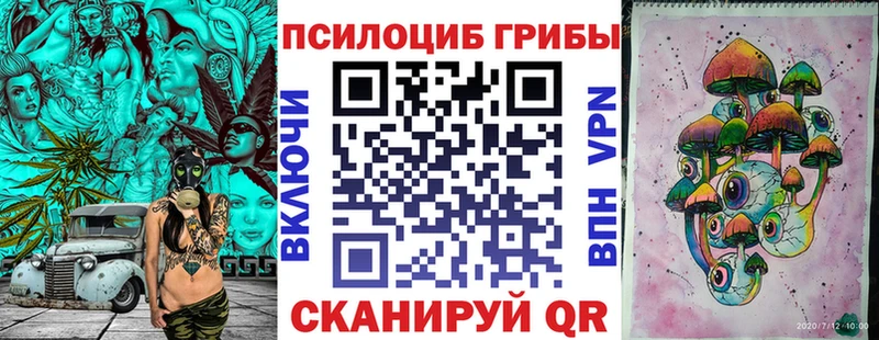 Псилоцибиновые грибы мухоморы  Купить закладки  Лыткарино 
