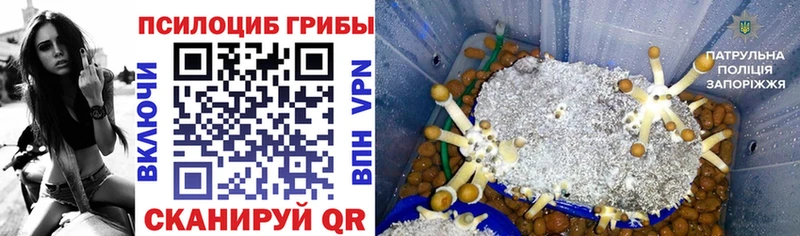 Псилоцибиновые грибы мухоморы Лыткарино