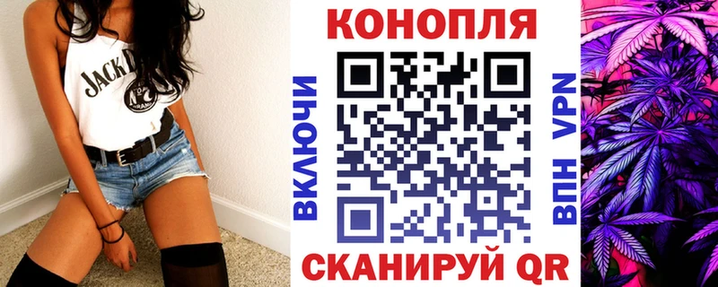 Купить  Лыткарино  Канабис конопля 